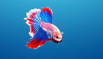 壹号娱乐|壹号(一号)娱乐 - NG大舞台